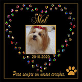 Placa Homenagem Para Pet Memorial Para Cachorros E Gatos