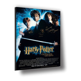 Cuadro Canvas Bastidor Poster Harry Potter La Cámara Secreta