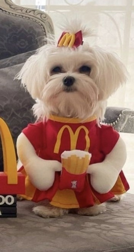 Roupa Pet Fantasia Braços Vestido Fast Food Para Cão E Gato