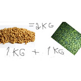 1kg Adubo Osmocote 15-9-12  (12 M) +1kg Basacote16-8-12 (9m)