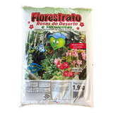 Substrato Florestrato Rosa Deserto Suculenta Cianex 1,9 Kg