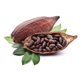 640 Semillas  (4kg) De Semilla Nueva De Cacao Para Germinar