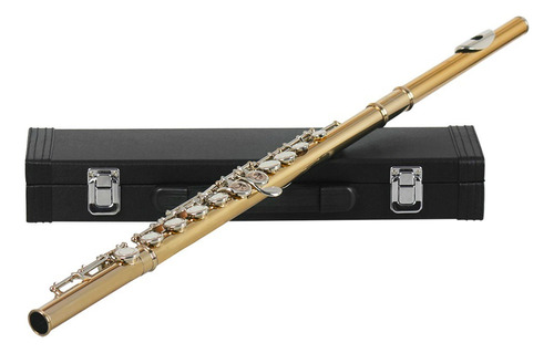 Flauta Transversal Slade Dourada C/ Estojo E Acessórios - Dó