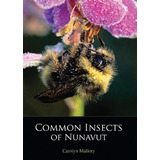 Libro Common Insects Of Nunavut - Carolyn Mallory