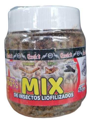 Mix De Insectos Loifilizado 50g Larva / Grillo / Tenebrio