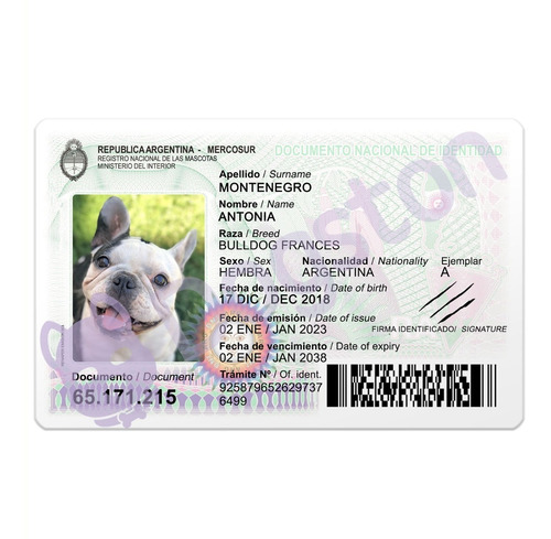 Dni Cédula Tarjeta Para Mascotas - Perros Gatos - Dogston