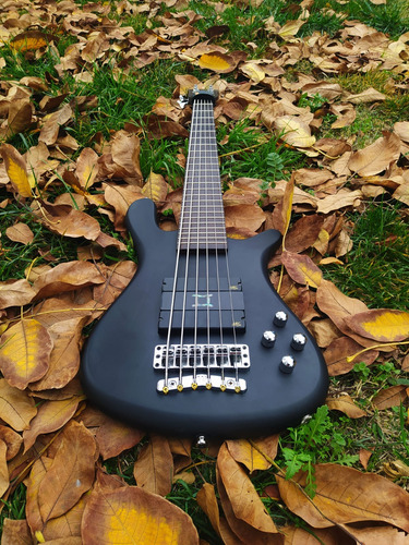 Bajo Eléctrico 6 Cuerdas Warwick Streamer Lx6 Proline Alemán