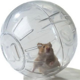 Bola De Exercícios Globo Para Hamster Ginástica Bichinho