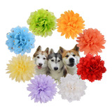 1 One Enjoy 8 Piezas De Collar De Perro, Accesorio De Flores