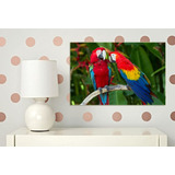 Vinilo Decorativo 60x90cm Loro Bird Pajaro Guacamayo M6