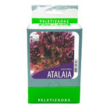 Alface Atalaia Frisee Roxa - 20env De 100 Sementes Pelets