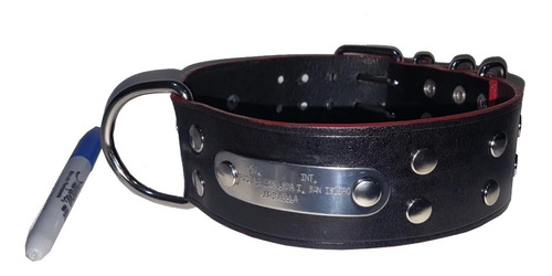 Collar Perro Grande Con Placa Grabada Al Ácido. Marca Katana