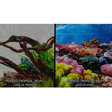 Lamina Doble Faz Mod Azul Fondo Pecera 60x30cm Acuario 