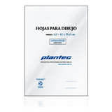 Hojas A2 Plantec Pack Por 10 Hojas Dibujo Tecnico