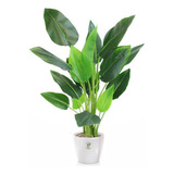 Planta Artificial Monstera + Maceta Premium Tropic 80 Cm