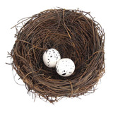 Nido De Pájaros De Pascua Artificial Que 10cm 2 Huevos