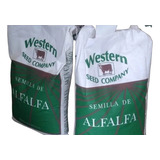 Semilla De Alfalfa Cuf 101 Peletizada 2 Saco De 20 Kg 