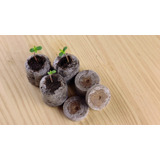 Jiffys 25*35 , Germinadores De Turba 5 Unidades, Brotes 