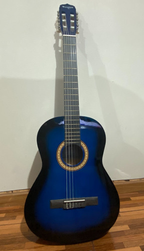 Guitarra Acustica Vizcaya Arcg34