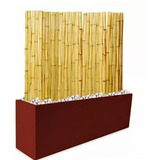 Kit Panel Cañas Bambu 1,5m Maceta Color Fibrocemento 60 Cm