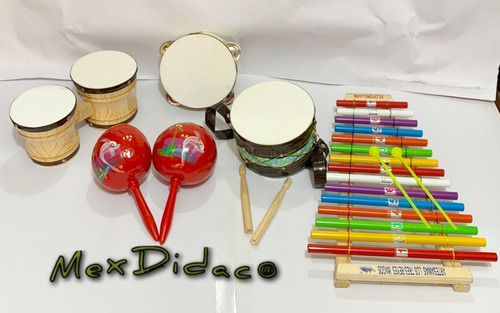 Instrumentos Musicales Didácticos, Kit Con 5pz Envío Gratis