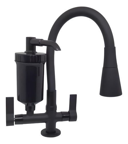 Torneira De Cozinha Gourmet Com Filtro Mesa Preta Flex C70 Cor Preto