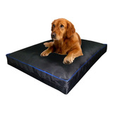 Colchon Liso Antidesgarro 120x70x10 Cm Cama Para Perros