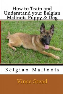 Libro How To Train And Understand Your Belgian Malinois P...
