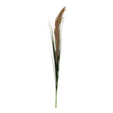 Capim Pluma Dedidratada Folhagem Planta Artificial 120x5cm