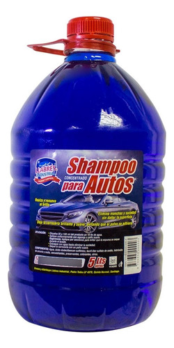 Shampoo Auto 5 L. Llabres 