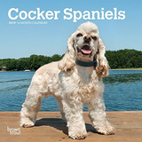 Cocker Spaniels 2019 7 X 7 Pulgadas Mensual Mini Calendario 