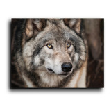 Cuadro Decorativo Canvas Lobo Rostro Animal Pelaje 50*60