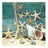 20 Guardanapos Para Decoupage Ambiente Starfish