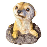 Ourdoor Meerkat Estátua Gramado Animal Escultura Pintado À