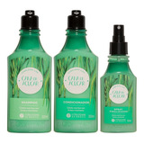 Kit Cana De Açúcar Shampoo+condicionador+spray L'occitane