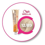  Wella Tintura Color Perfect Rich 60ml Oxidante 20% Tono 12/89