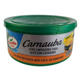 Cera Profesional En Pasta Con Carnauba Turtle Wax 236gr