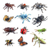 Volnau Bug Toys Figurines 12pcs Insectos Juguetes Figuras Pa