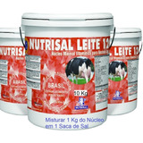 Suplemento Mineral Nutrisal Leite Mineral Vaca Leiteira 10kg