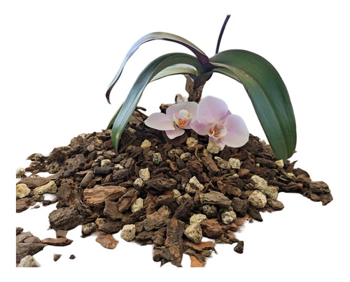 30 Litros De Sustrato Profesional Para Orquídea Phalaenopsis