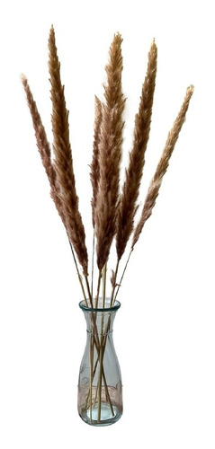 Flores Secas Pampa Grass Marron