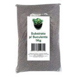 Substrato Para Suculentas E Cactos 1kg Humus/perlita/silica