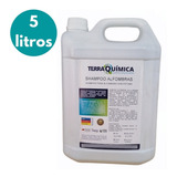 Shampoo Líquido Alfombras Concentrado 5 Lts