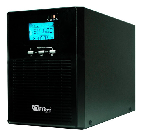 Ups Online 3kva Netion 220v/220v 12bf3000