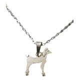 Cadena Collar Perro Caniche Poodle Mujer Plata 925 + Caja Re