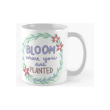 Taza Florece Donde Estás Plantado (transparente) Calidad Pre