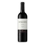 Benjamín Vino Malbec 750ml Nieto Senetiner Mendoza