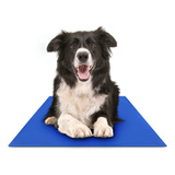 Dog Cooling Mat (colchoneta Refrescante Para Perros) 30x40cm