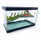 Terrario N4 35x16x22cm Aquário Decorado Tartarugas E Peixes