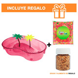 Kit Tortuguero Rojo Equipado + Alimento Y Grava De Regalo